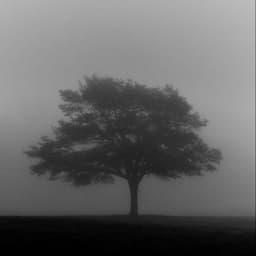 i'm sorry i couldn't keep my promise